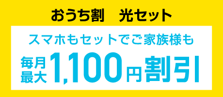 おうち割 光セット