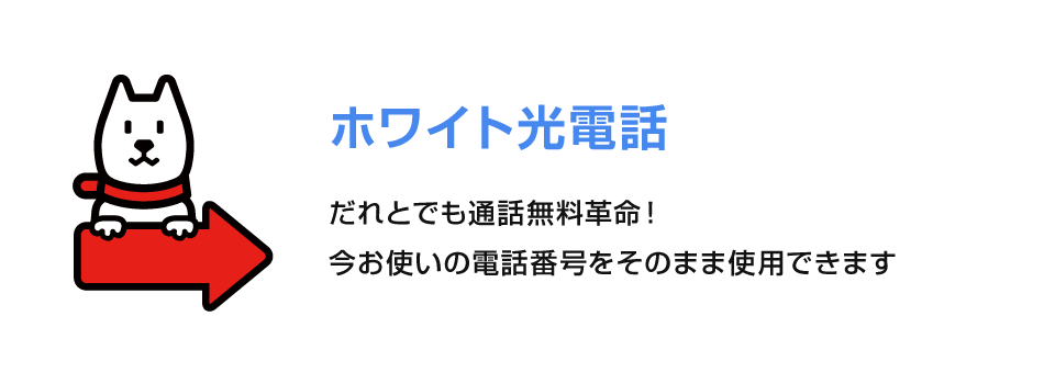 ホワイト光電話